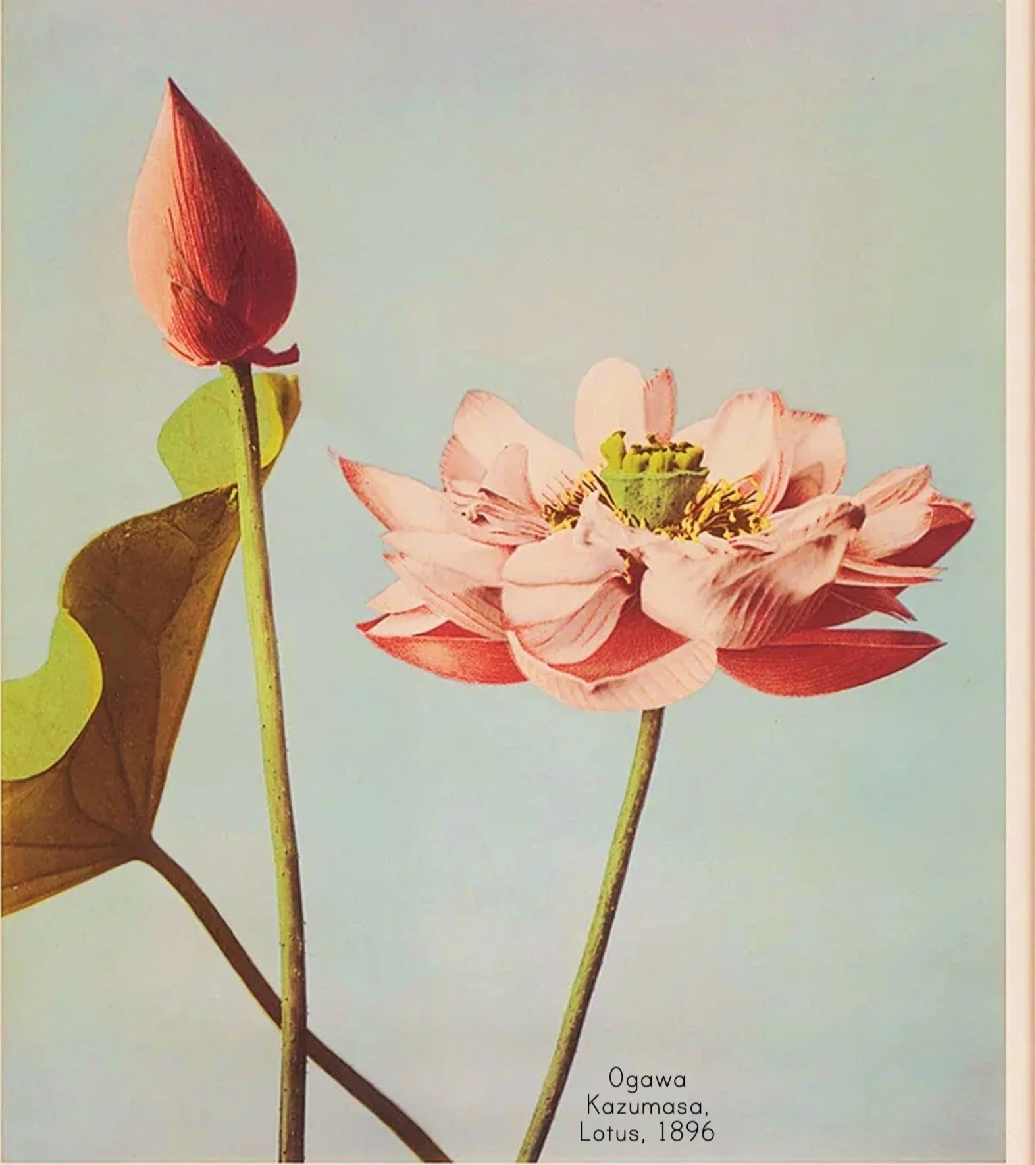 About 1 — lotus27™inc